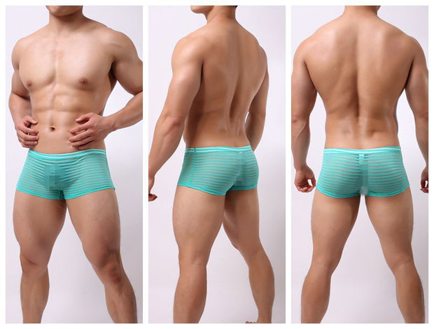 Striped Transparent Boxers For Men