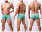 Striped Transparent Boxers For Men