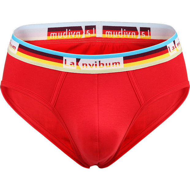 Rainbow Rubber Band Cotton Briefs