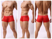 Striped Transparent Boxers For Men