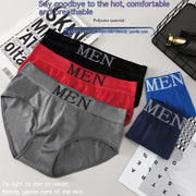 Men's Polyester Breathable Underwear